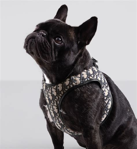 Pet Harness Beige and Black Dior Oblique Jacquard